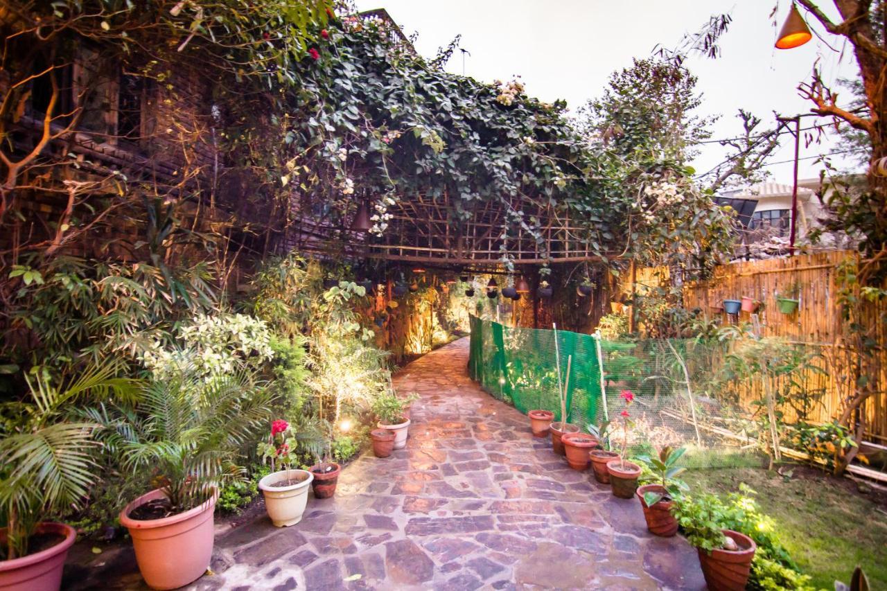 Divine Ganga Cottage Рішикеш Екстер'єр фото
